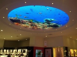 Ceiling round led screen 