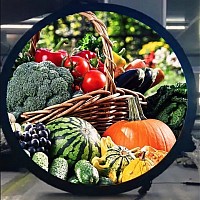 24” (600mm) Round shape LCD video display