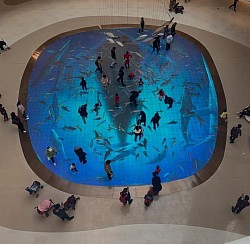 Video floor at Shopping mall